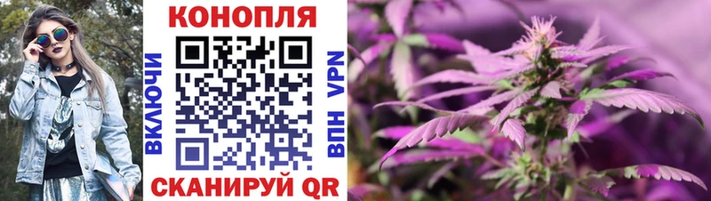 Канабис семена  Купить где  Чадан 